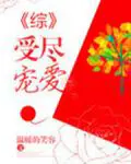 《受尽宠爱[综]》封面